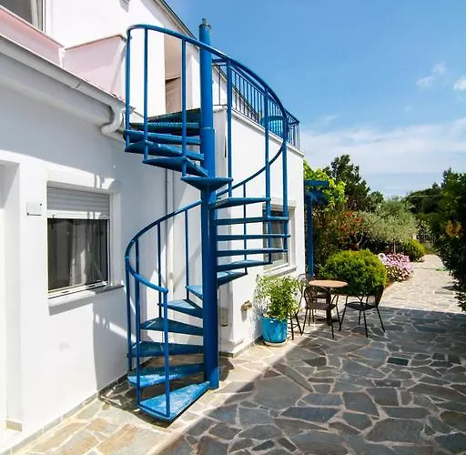 Smaro クリッシ・アモウディア