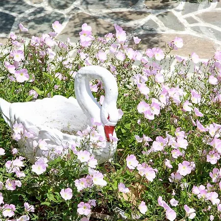 公寓 Smaro